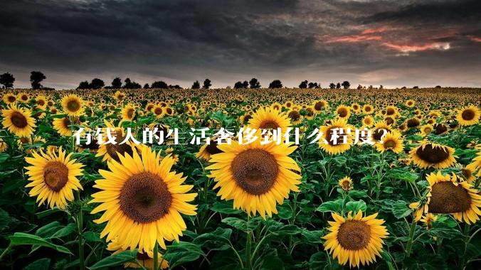 有钱人的生活奢侈到什么程度？