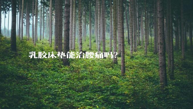 乳胶床垫能治腰痛吗？