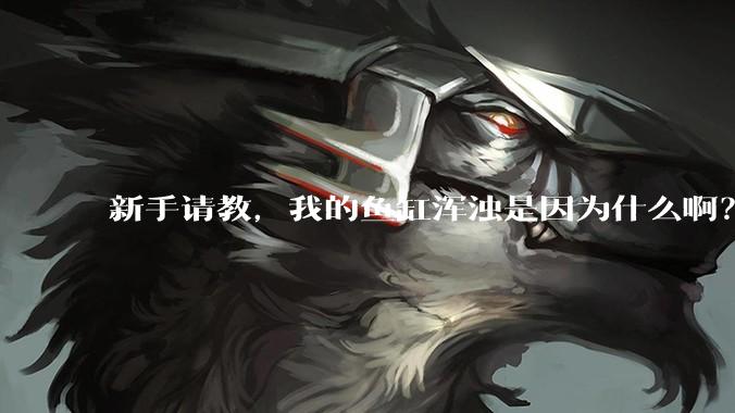 新手请教，我的鱼缸浑浊是因为什么啊？