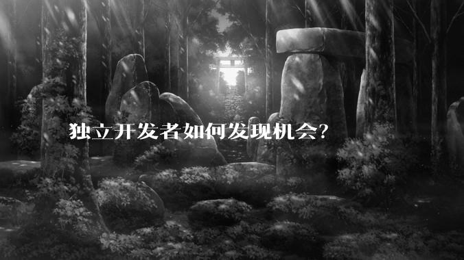 独立开发者如何发现机会？