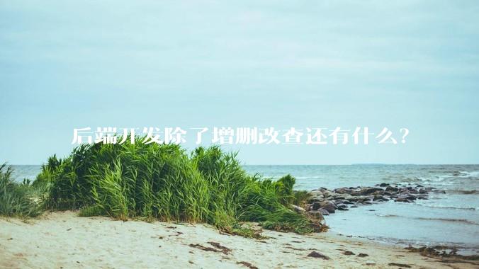 后端开发除了增删改查还有什么？