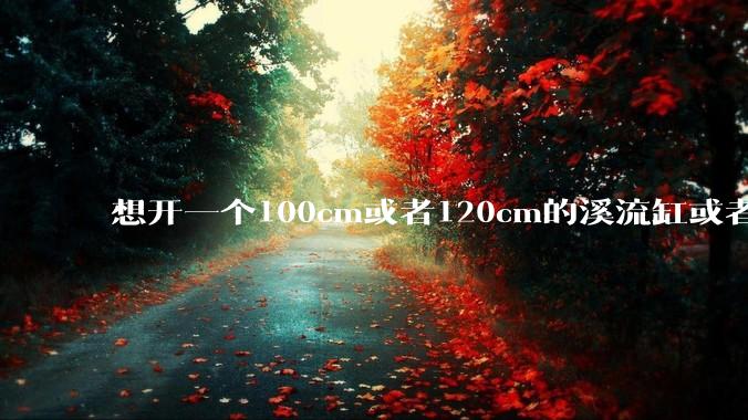 想开一个100cm或者120cm的溪流缸或者水草缸，有没有大佬指导一下，有哪些注意事项？