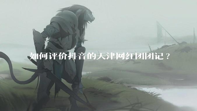 如何评价抖音的天津网红团团记?