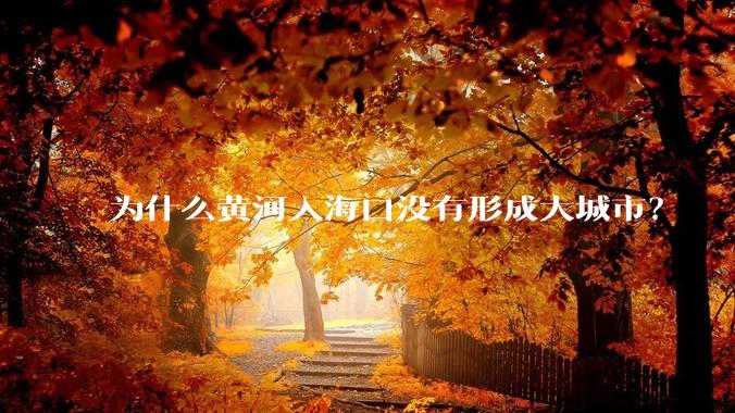 为什么黄河入海口没有形成大城市？