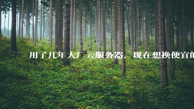 用了几年大厂云服务器，现在想换便宜的，有推荐的吗?