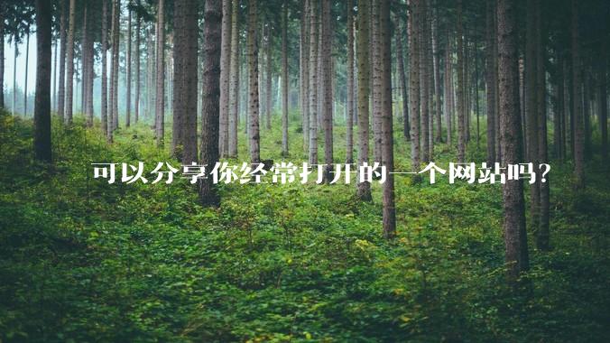可以分享你经常打开的一个网站吗？